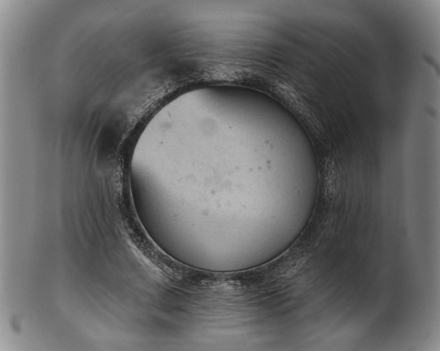 X0000102460683200808081227