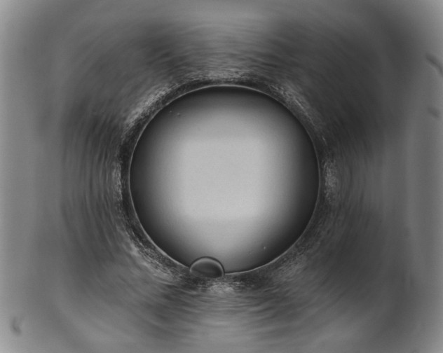 X0000102460684200808081227