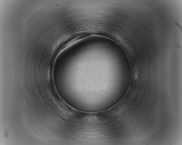 X0000102460685200808081227