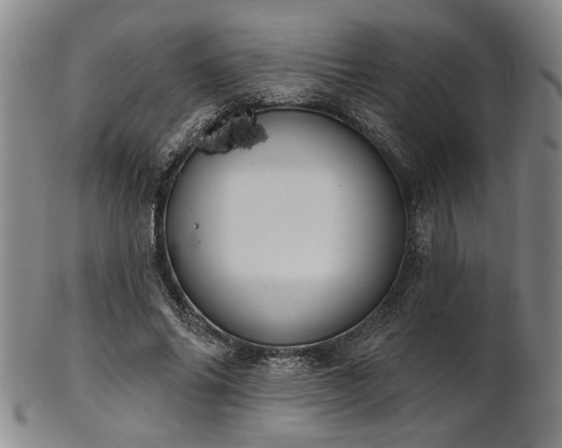 X0000102460686200808081227