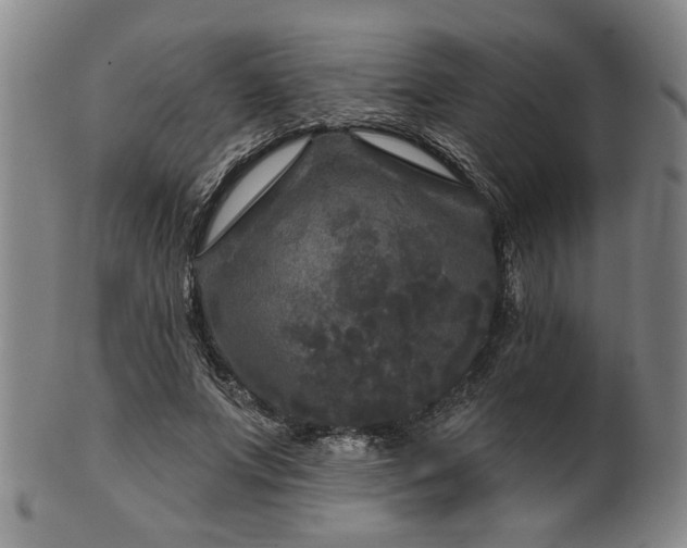 X0000102460687200808081227