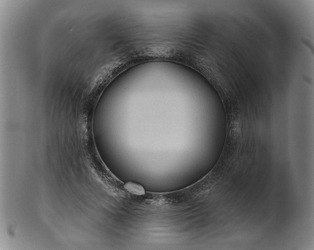 X0000102460688200808081227