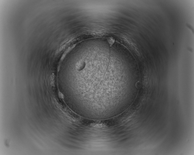 X0000102460689200808081227