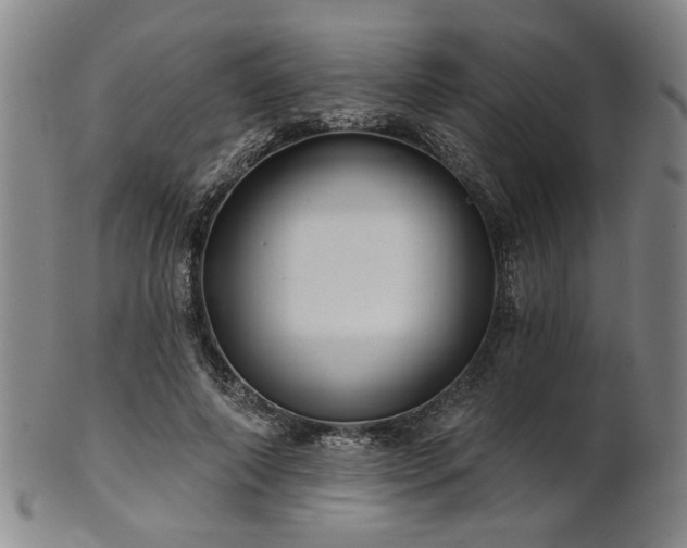 X0000102460690200808081227