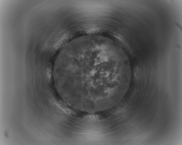 X0000102460691200808081227