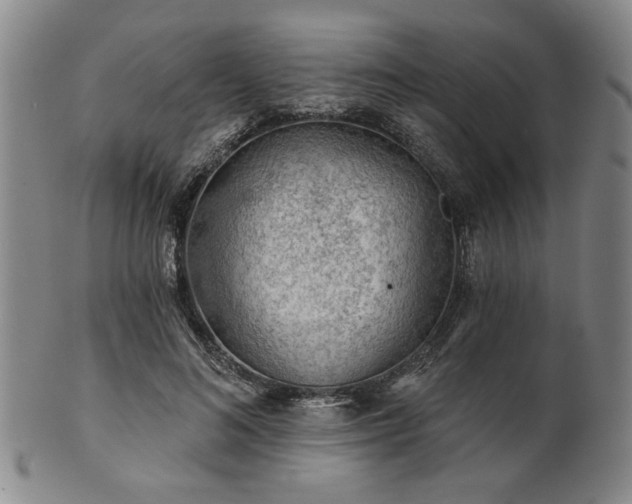 X0000102460692200808081227