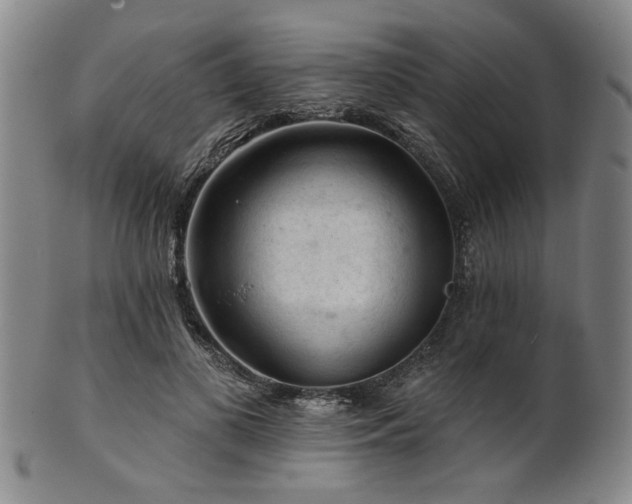 X0000102460693200808081227