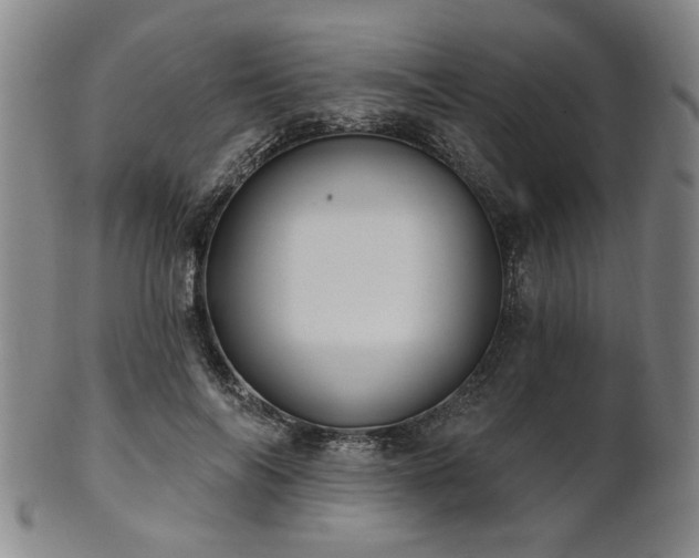 X0000102460694200808081227