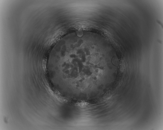 X0000102460695200808081227