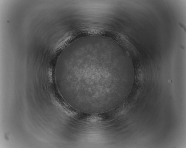 X0000102460696200808081227