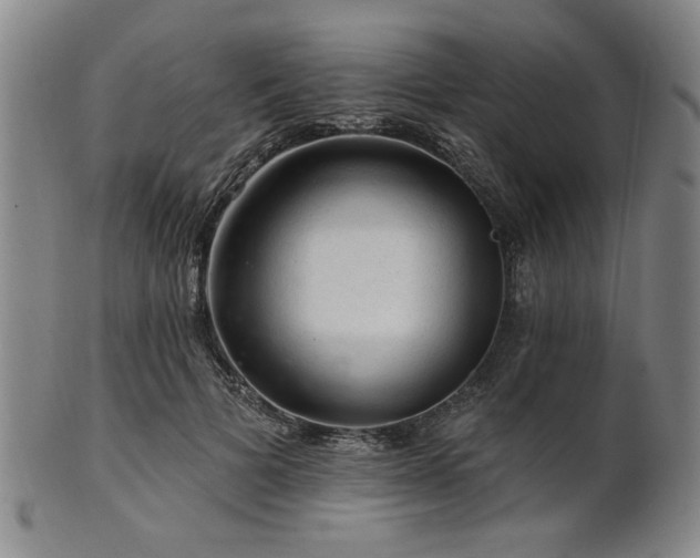 X0000102460697200808081227