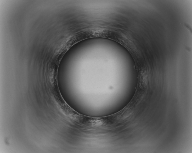 X0000102460698200808081227