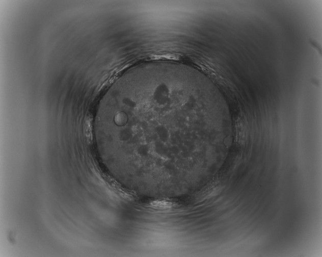 X0000102460699200808081227