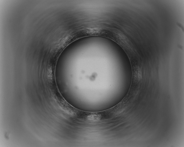 X0000102460700200808081227