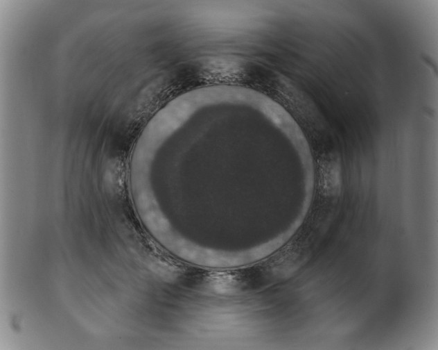 X0000102460701200808081227