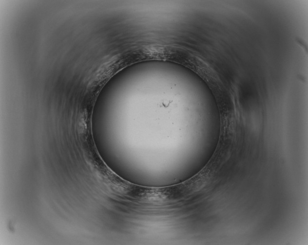 X0000102460702200808081227