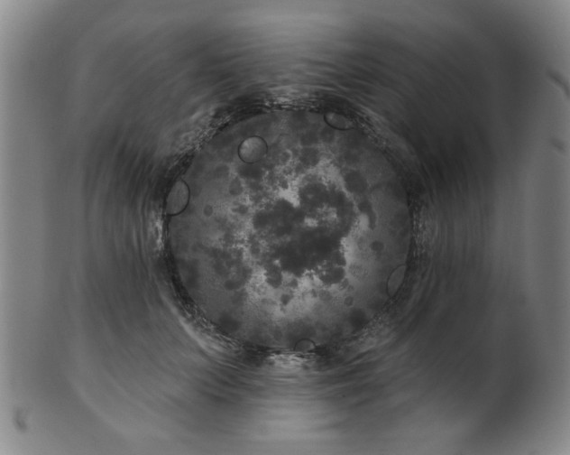 X0000102460703200808081227