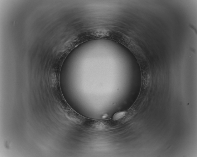 X0000102460704200808081227