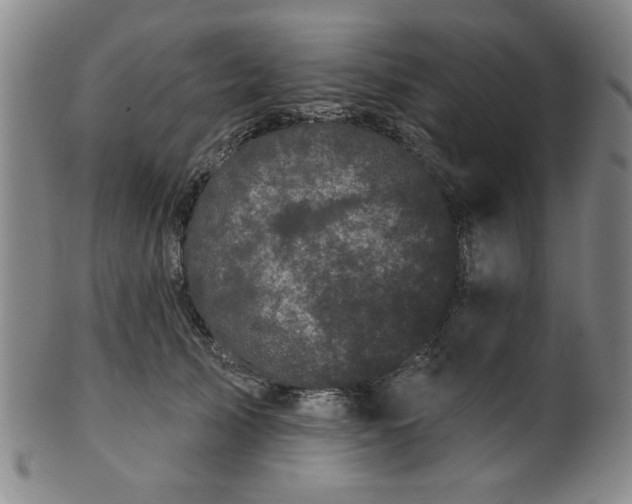 X0000102460705200808081227