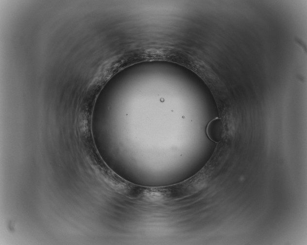 X0000102460706200808081227