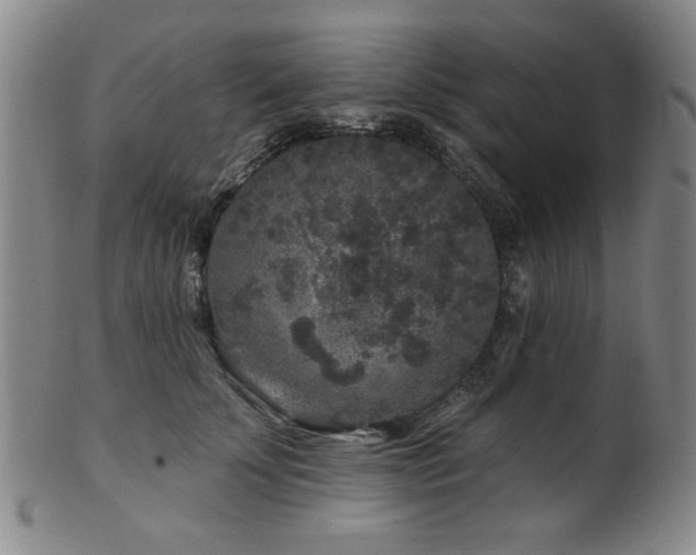 X0000102460707200808081227