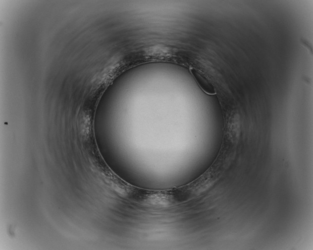 X0000102460708200808081227