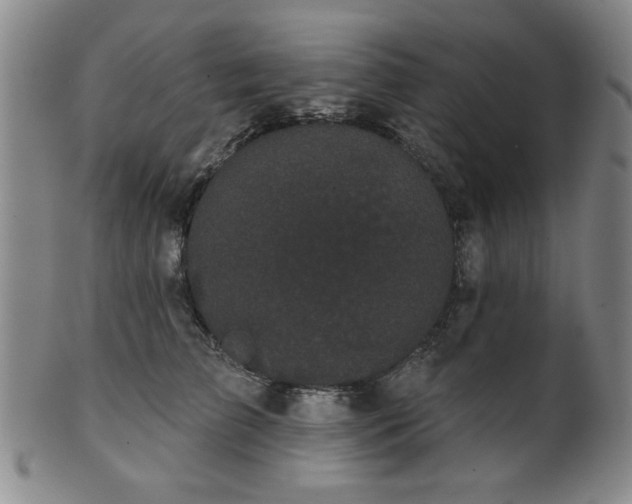 X0000102460709200808081227