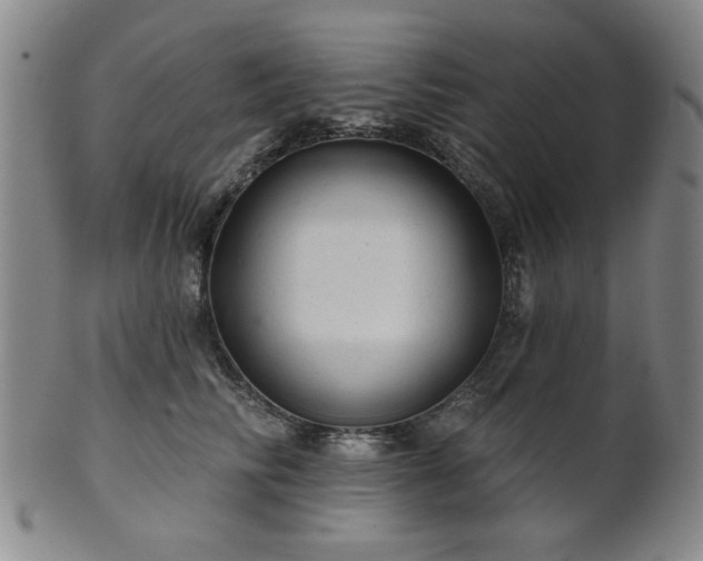 X0000102460710200808081227