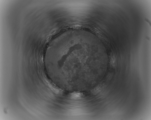 X0000102460711200808081227