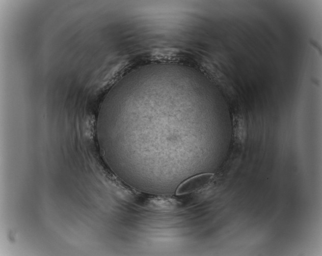 X0000102460712200808081227