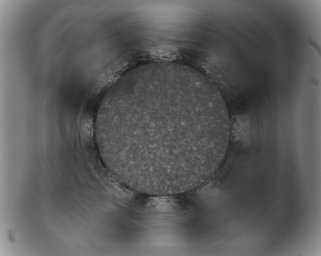 X0000102460713200808081227