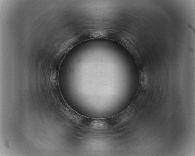 X0000102460714200808081227