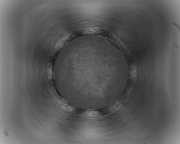 X0000102460716200808081227