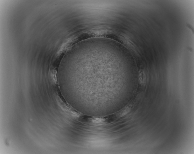 X0000102460718200808081227