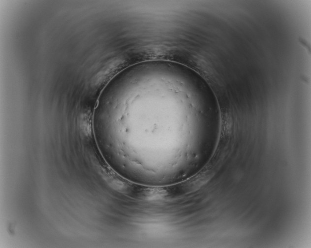 X0000102460719200808081227