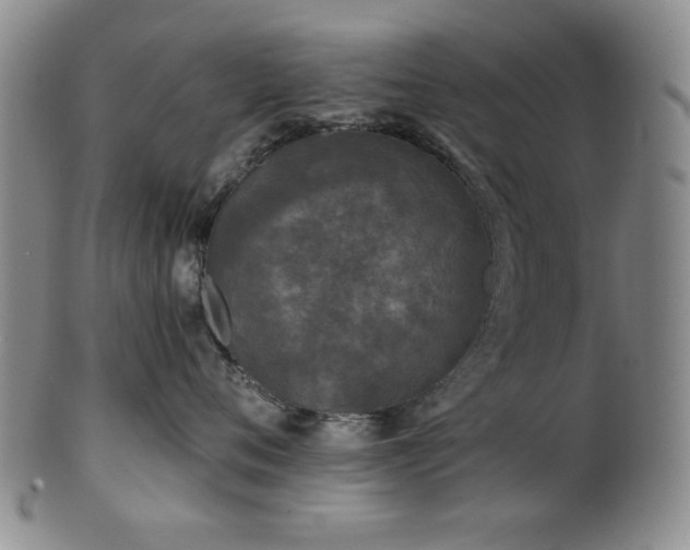 X0000102460720200808081227