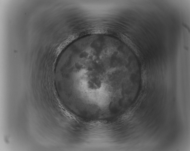 X0000102460721200808081226