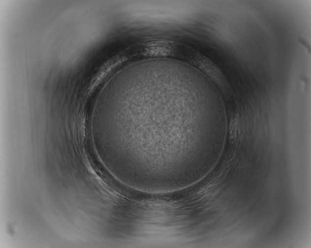 X0000102460722200808081226