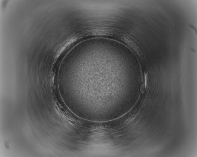 X0000102460723200808081226