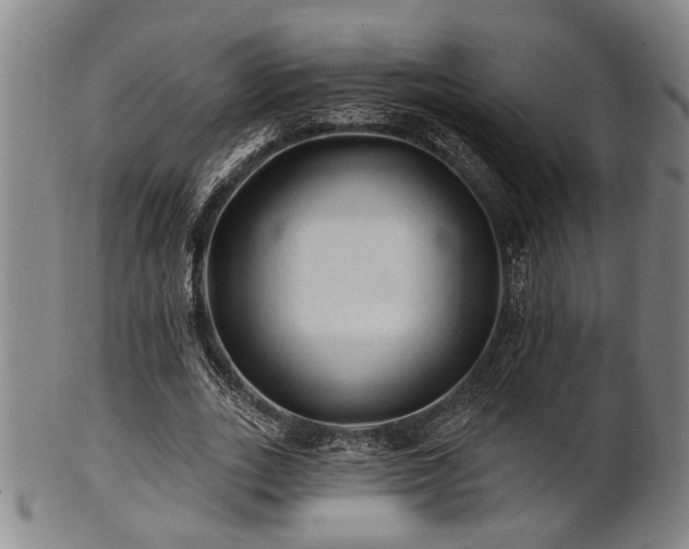 X0000102460727200808081226