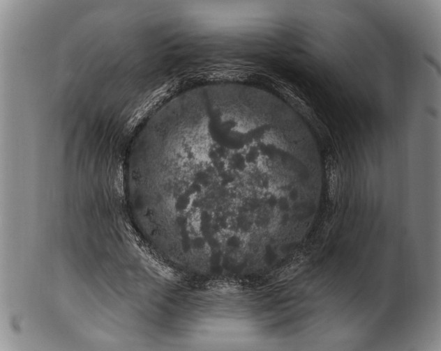 X0000102460729200808081226