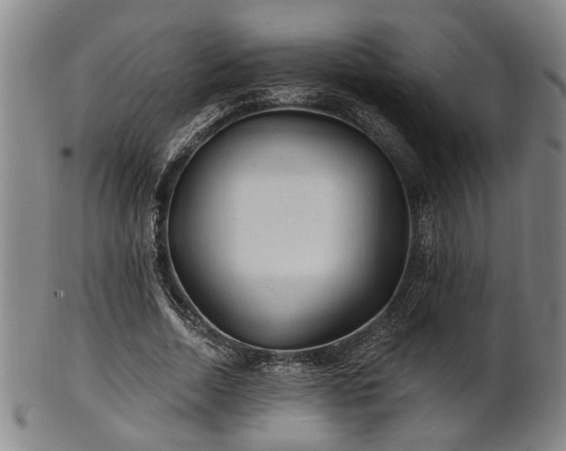 X0000102460730200808081226