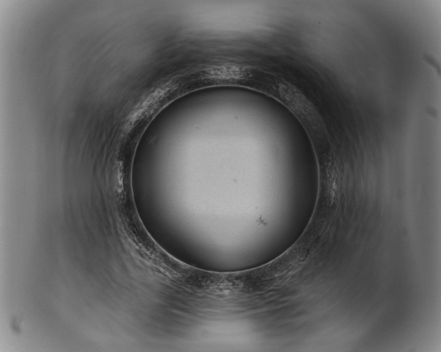 X0000102460731200808081226