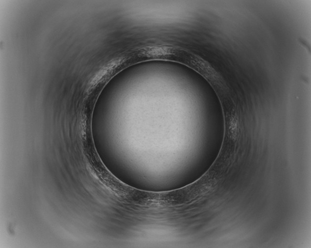 X0000102460732200808081226