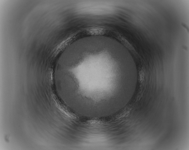 X0000102460733200808081226