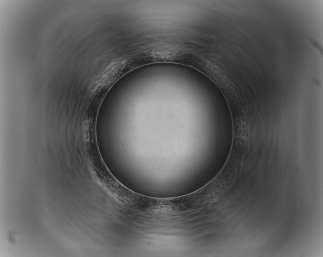 X0000102460738200808081226