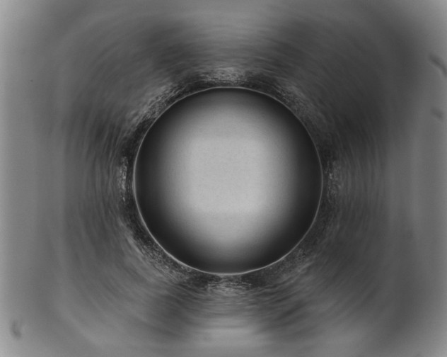 X0000102460739200808081227