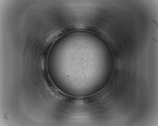 X0000102460740200808081227