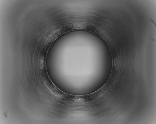 X0000102460741200808081227