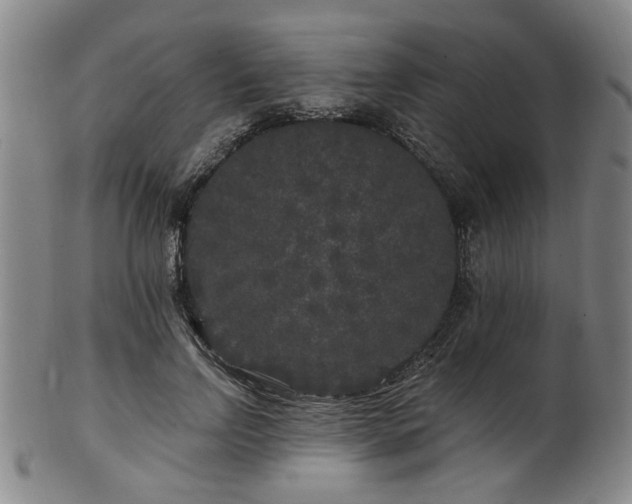 X0000102460742200808081227